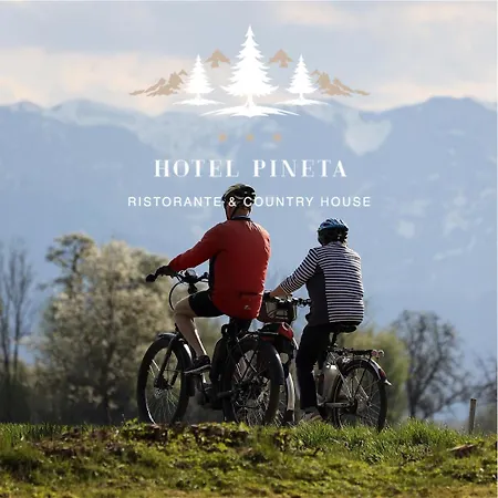 Hotel Pineta Ristorante In Fabriano 3*